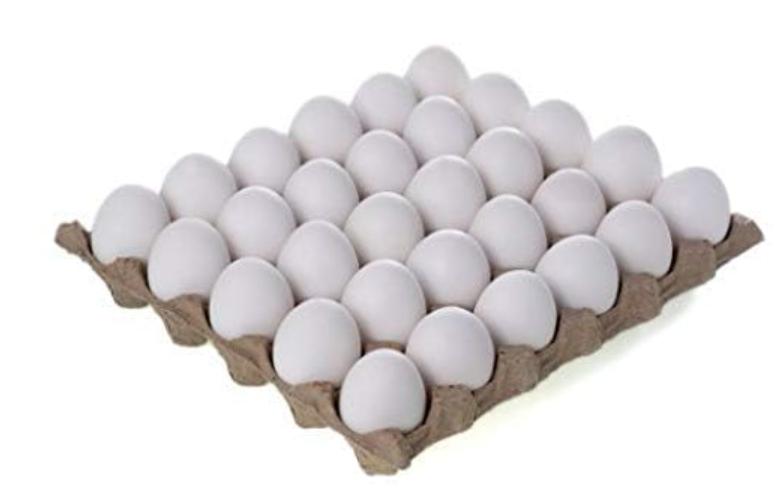 Egg