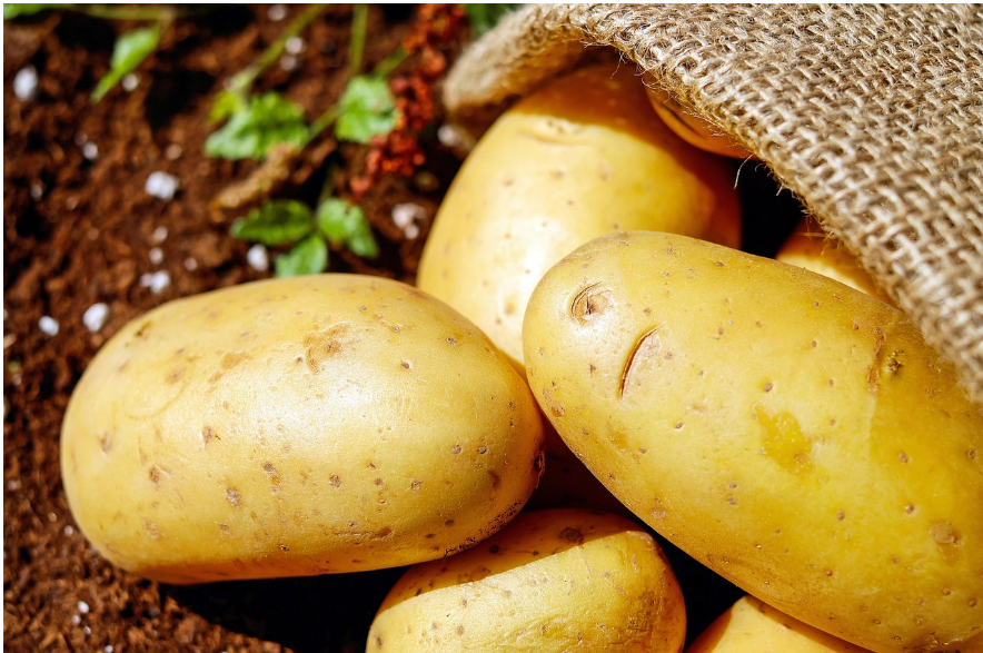 potato